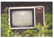 m64.jpg