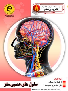 سلول های عصبی مغز