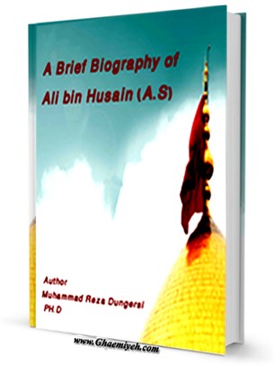 A Brief Biography of Ali ibn Husain (A.S)