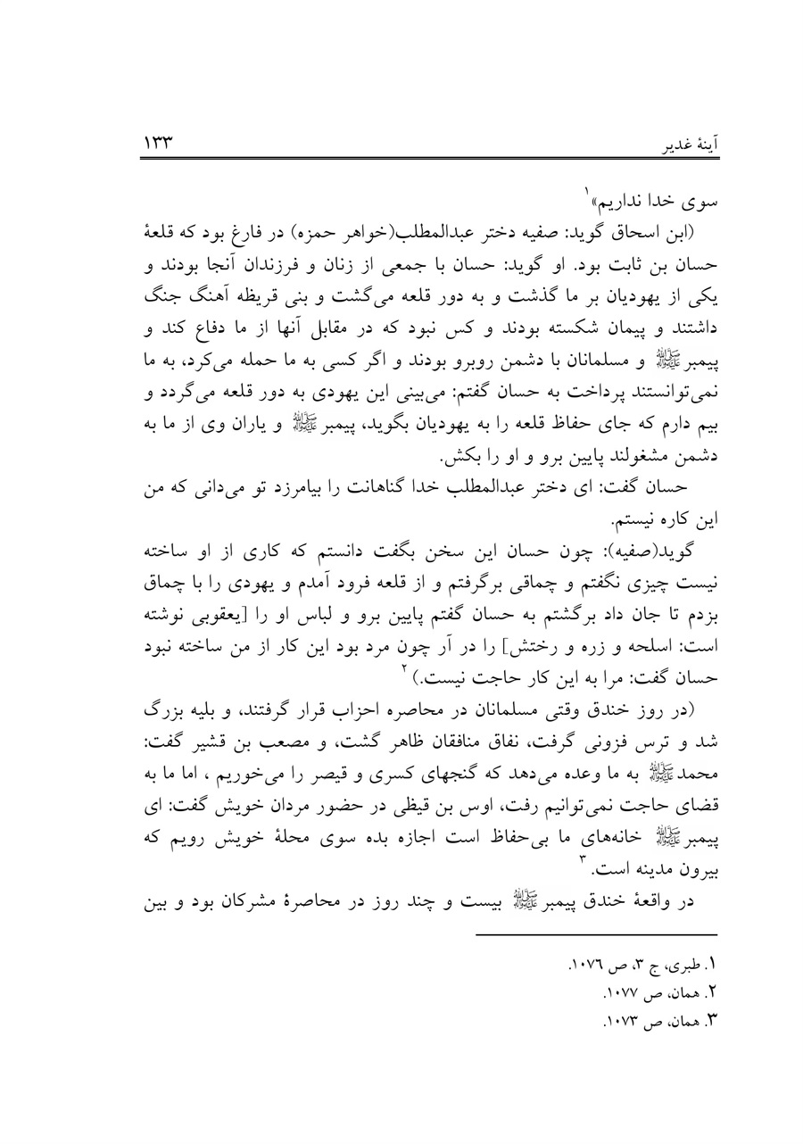 صفحه ۱۳۳